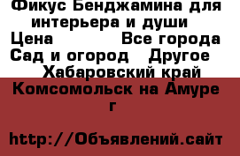 Фикус Бенджамина для интерьера и души › Цена ­ 2 900 - Все города Сад и огород » Другое   . Хабаровский край,Комсомольск-на-Амуре г.